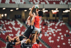 开云官方网站-总决赛决赛爆出冷门！明尼苏达森林狼横扫密尔沃基雄鹿，争冠形势突变